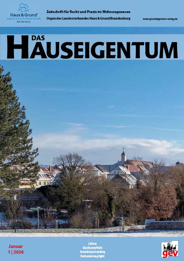 DAS HAUSEIGENTUM - Jahresabonnement